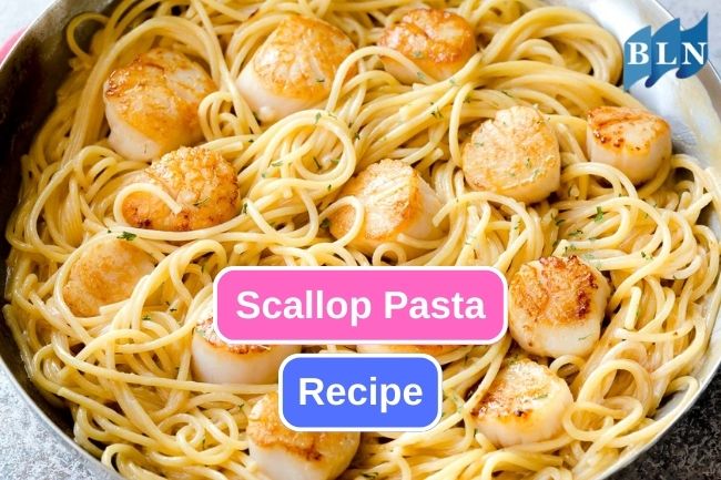 Easy Recipe to Make Delicious Scallop Pasta